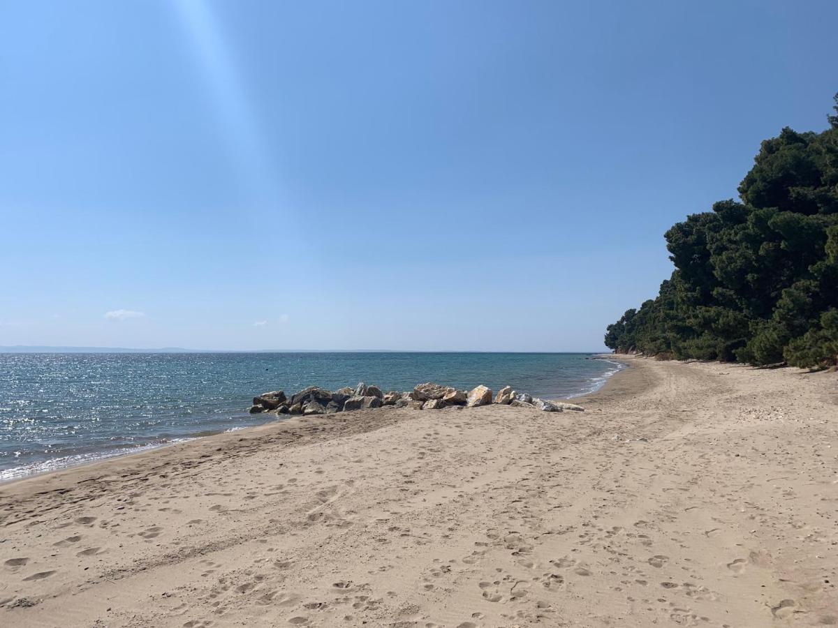 Sithonia Lodge 美塔摩尔弗斯 外观 照片